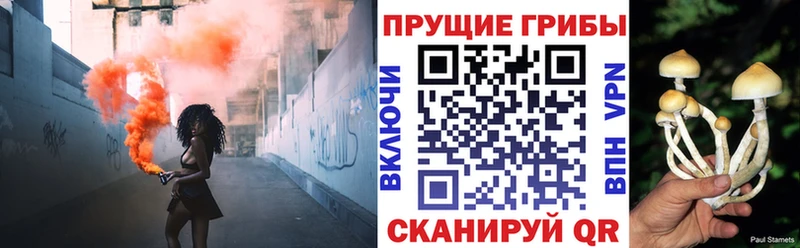 Галлюциногенные грибы ЛСД  Купить  Котовск 